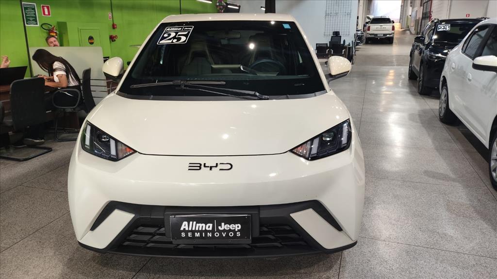 DOLPHIN MINI 38 KW ELÉTRICO11