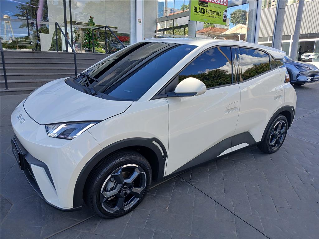 DOLPHIN MINI 38 KW ELÉTRICO3