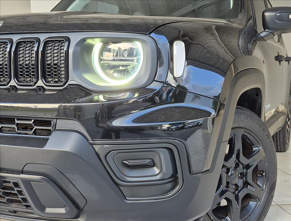 RENEGADE 1.3 T270 TURBO FLEX AT619