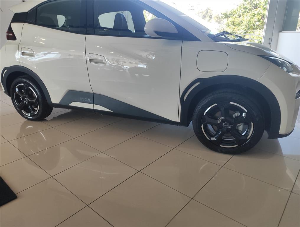 DOLPHIN MINI 38 KW ELÉTRICO2