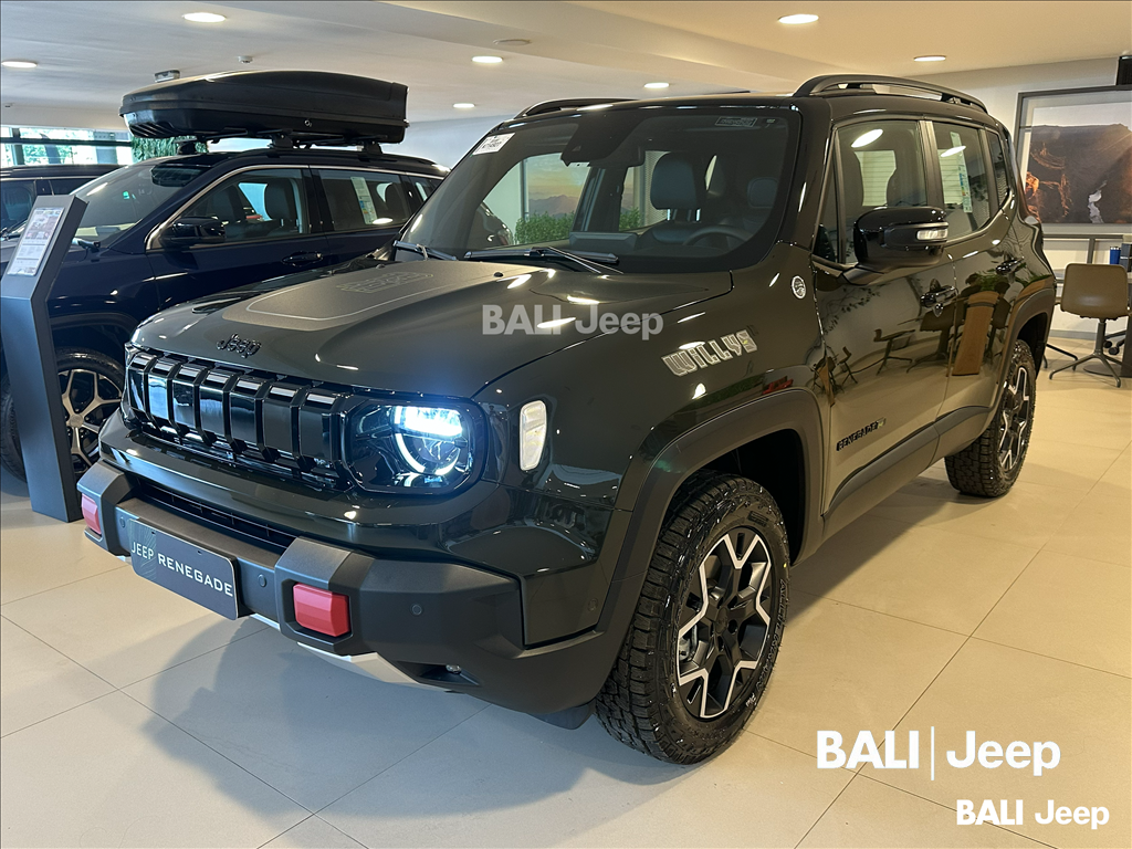RENEGADE 1.3 T270 TURBO FLEX WILLYS 4X4 AT92