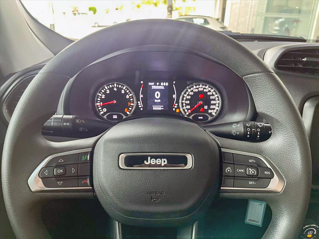 RENEGADE 1.3 T270 TURBO FLEX AT68