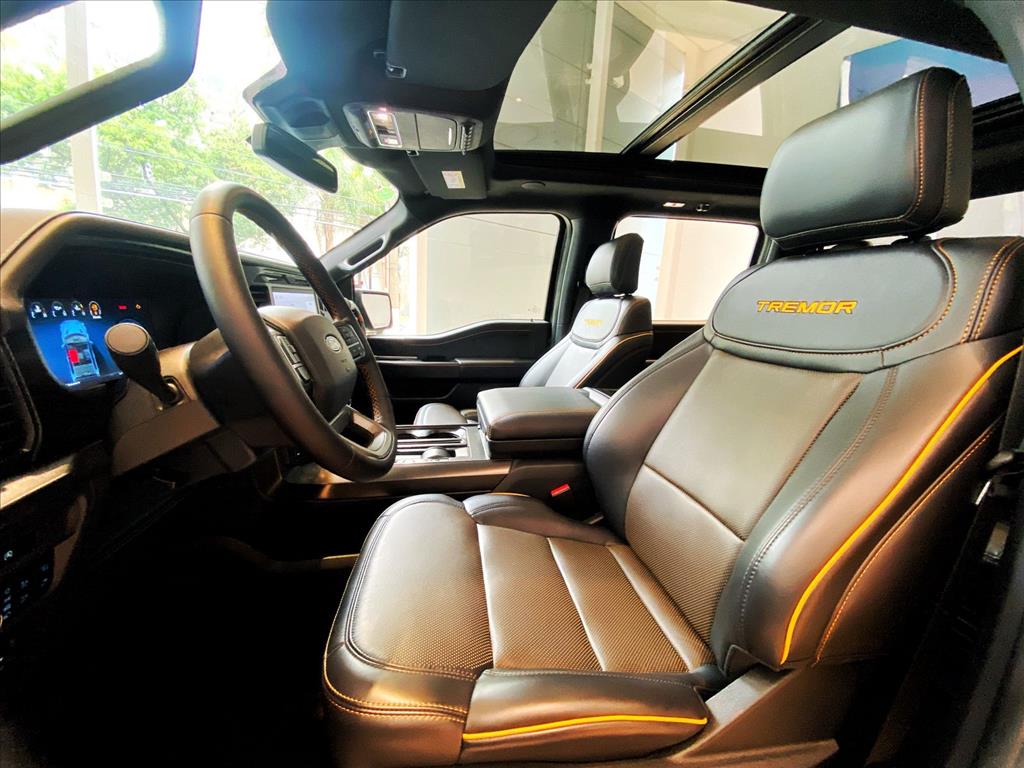 Ford-F-150-5.0 V8 GASOLINA CD TREMOR FX4 AUTOMÁTICO