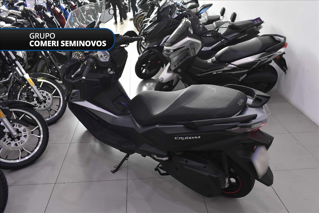 CRUISYM 300