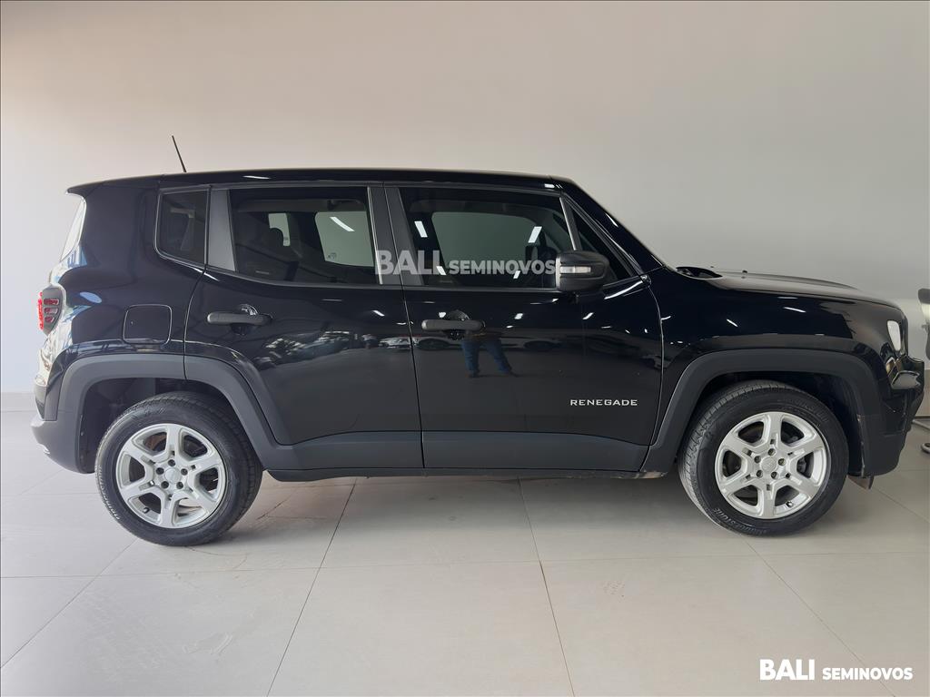 RENEGADE 1.3 T270 TURBO FLEX AT66