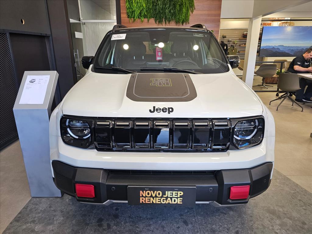 RENEGADE 1.3 T270 TURBO FLEX WILLYS 4X4 AT90