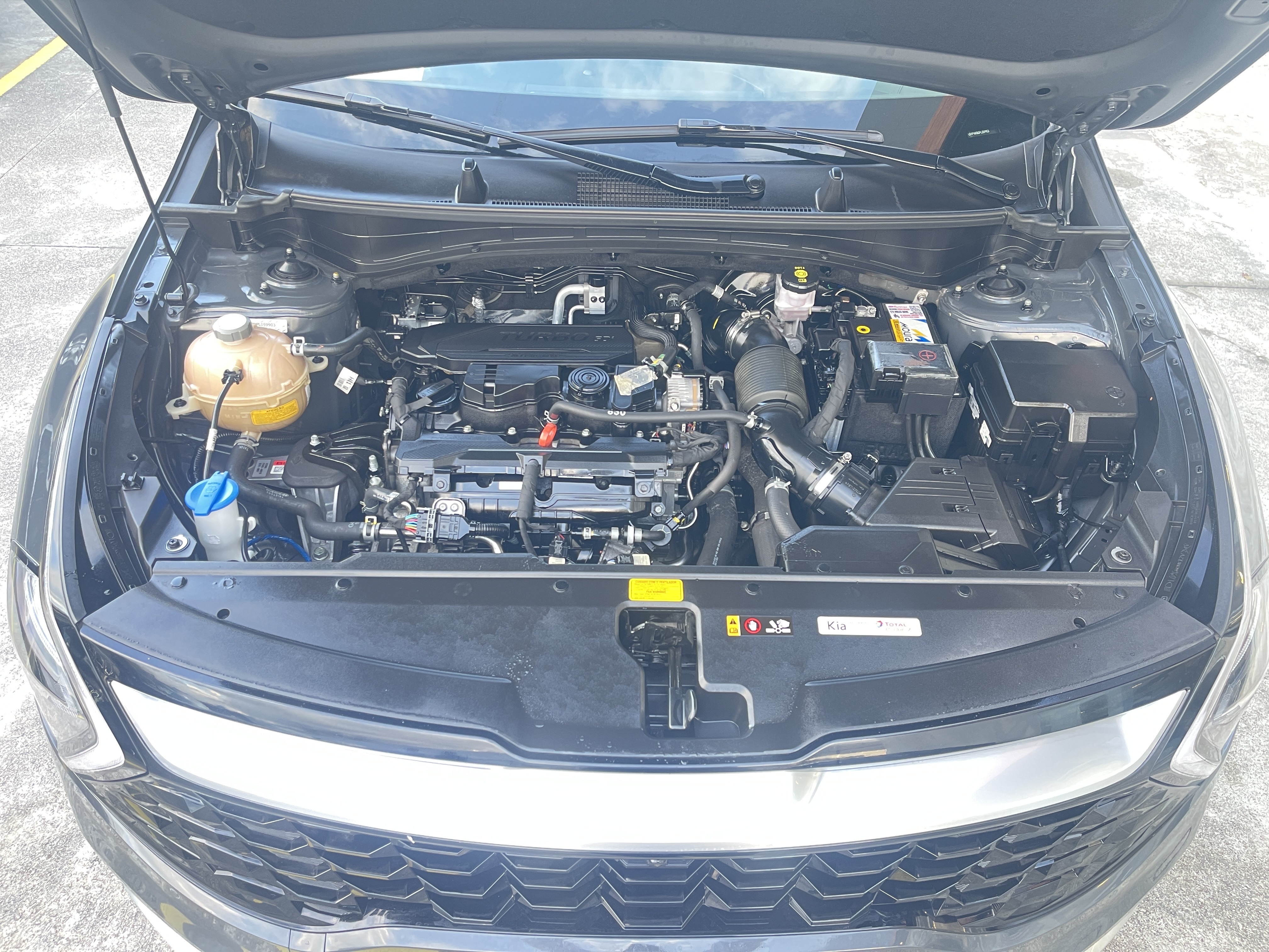 SPORTAGE 1.6 TGDI MHEV EX DCT14