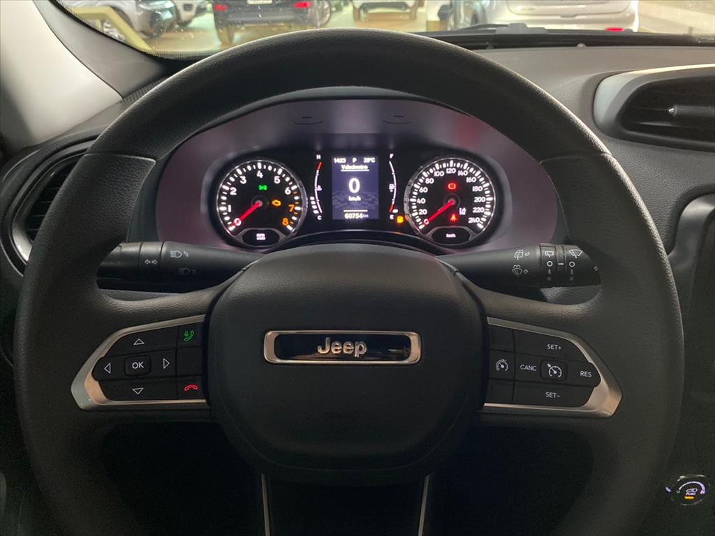 RENEGADE 1.3 T270 TURBO FLEX AT65