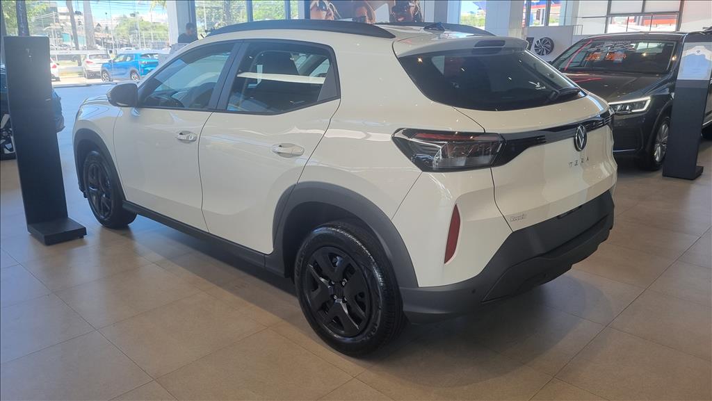 TERA 1.0 MPI MANUAL5