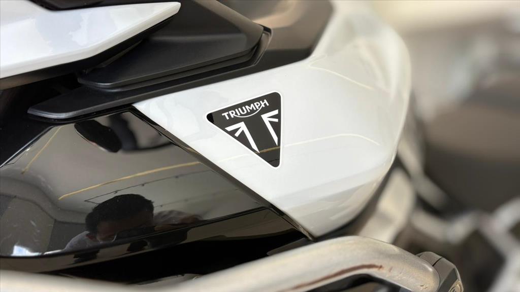 TIGER 900 GT3