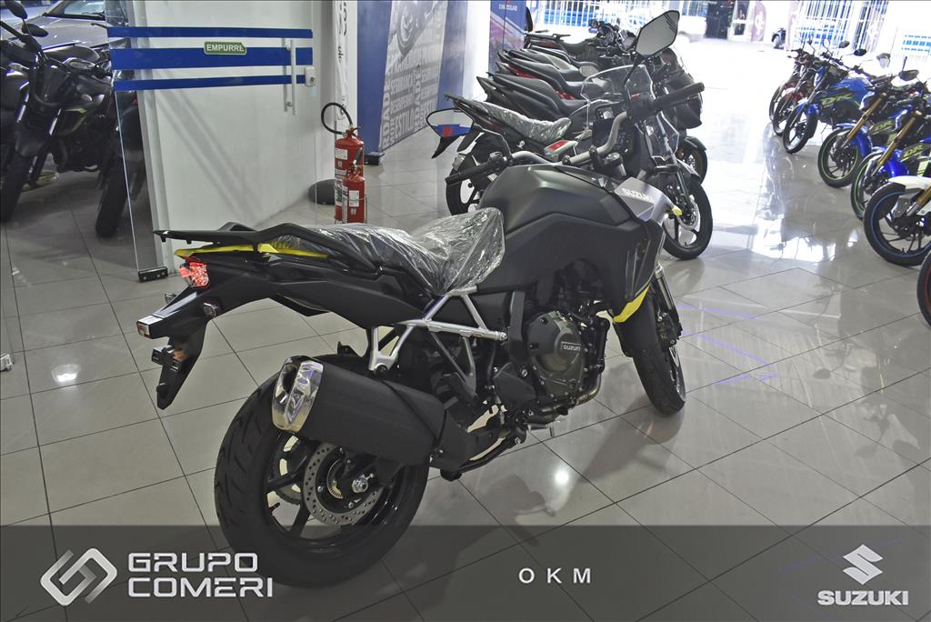 V-STROM 8003