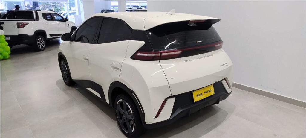 DOLPHIN MINI 38 KW ELÉTRICO2