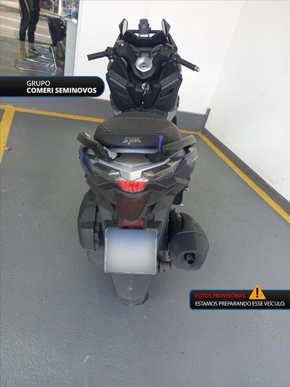 CRUISYM 300