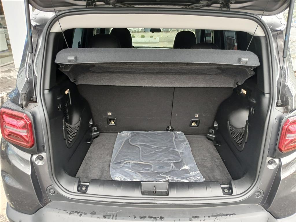 RENEGADE 1.3 T270 TURBO FLEX SPORT ALTITUDE AT612