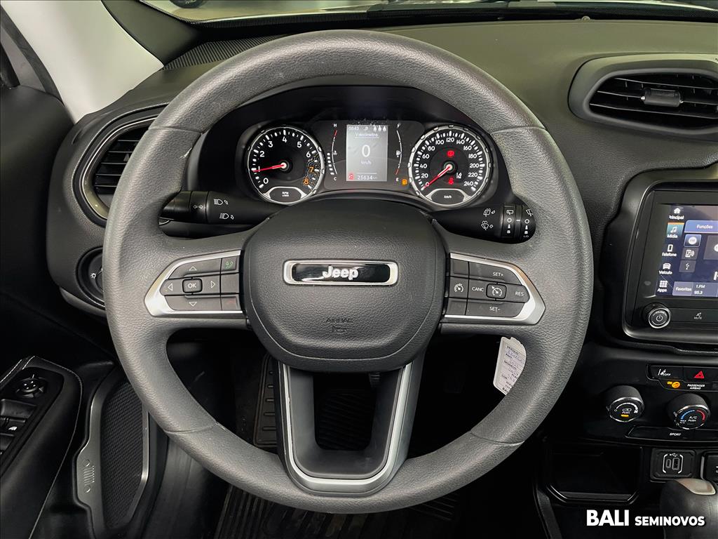 RENEGADE 1.3 T270 TURBO FLEX AT610