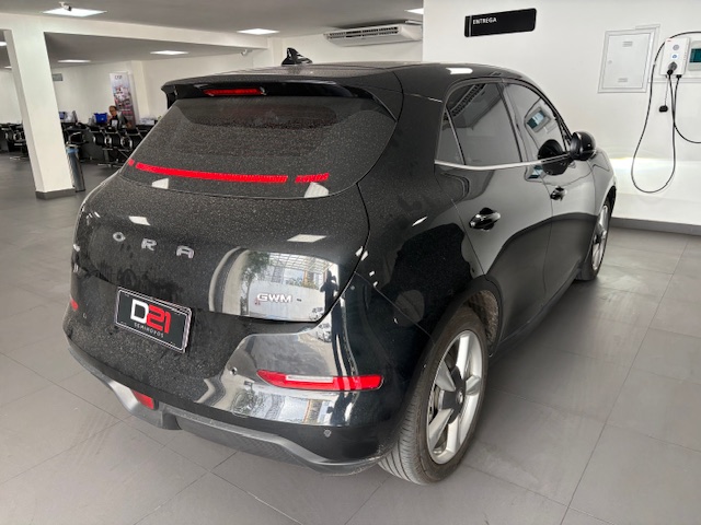 GWM-ORA 03-48 KW ELÉTRICO SKIN