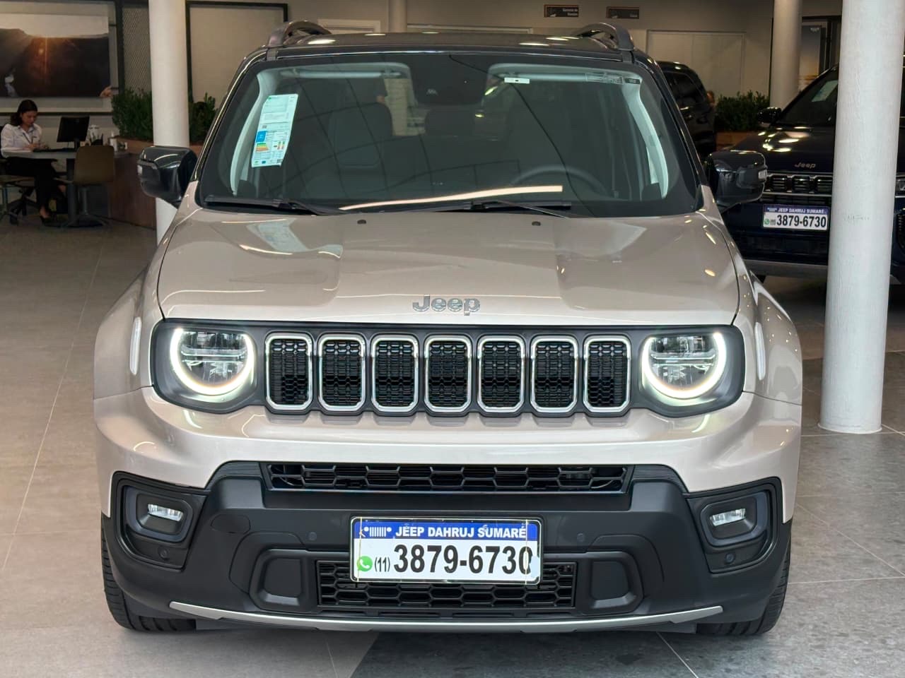 RENEGADE 1.3 T270 TURBO FLEX SAHARA AT64
