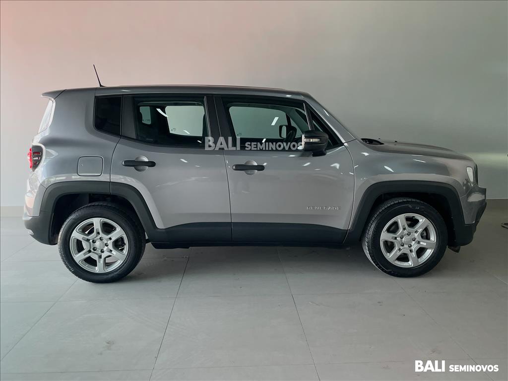 RENEGADE 1.3 T270 TURBO FLEX AT63