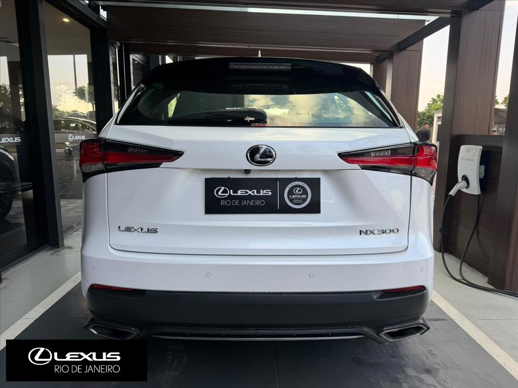 NX 300 2.0 16V VVT-i TURBO GASOLINA F-SPORT 6A/T AWD10