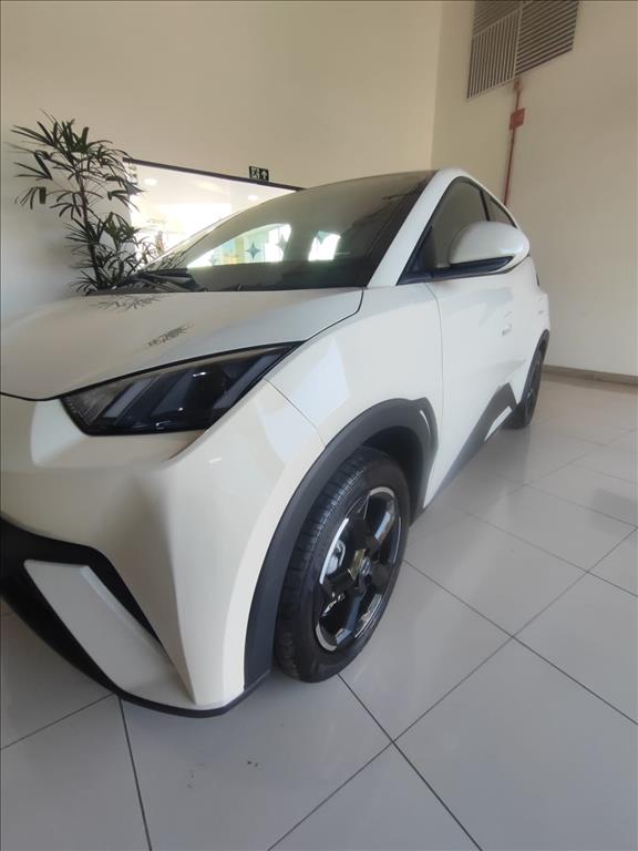 DOLPHIN MINI 38 KW ELÉTRICO4