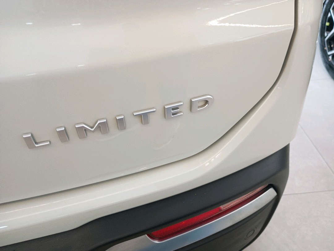 COMMANDER 2.0 TD380 TURBO DIESEL LIMITED AT910