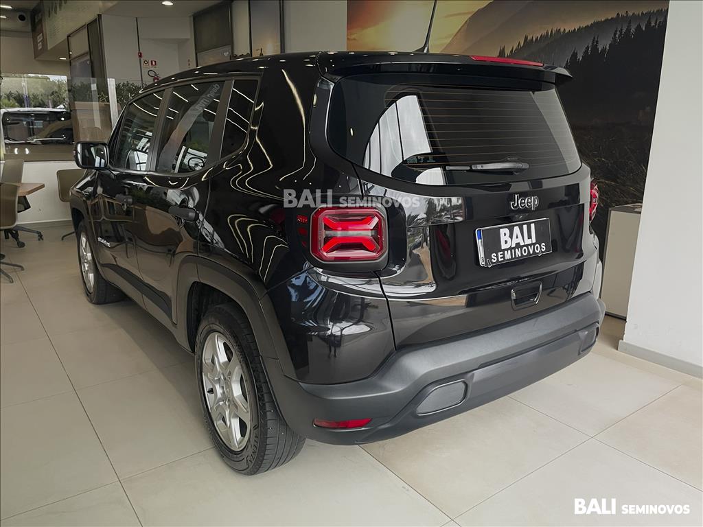 RENEGADE 1.3 T270 TURBO FLEX AT65