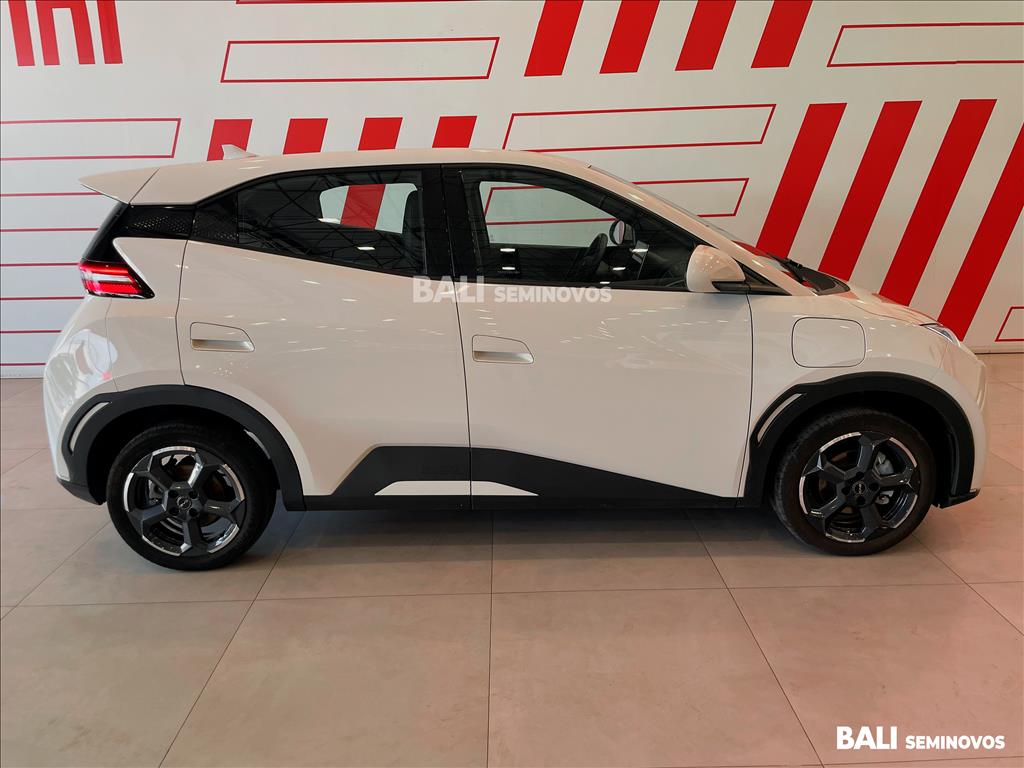 DOLPHIN MINI 38 KW ELÉTRICO3