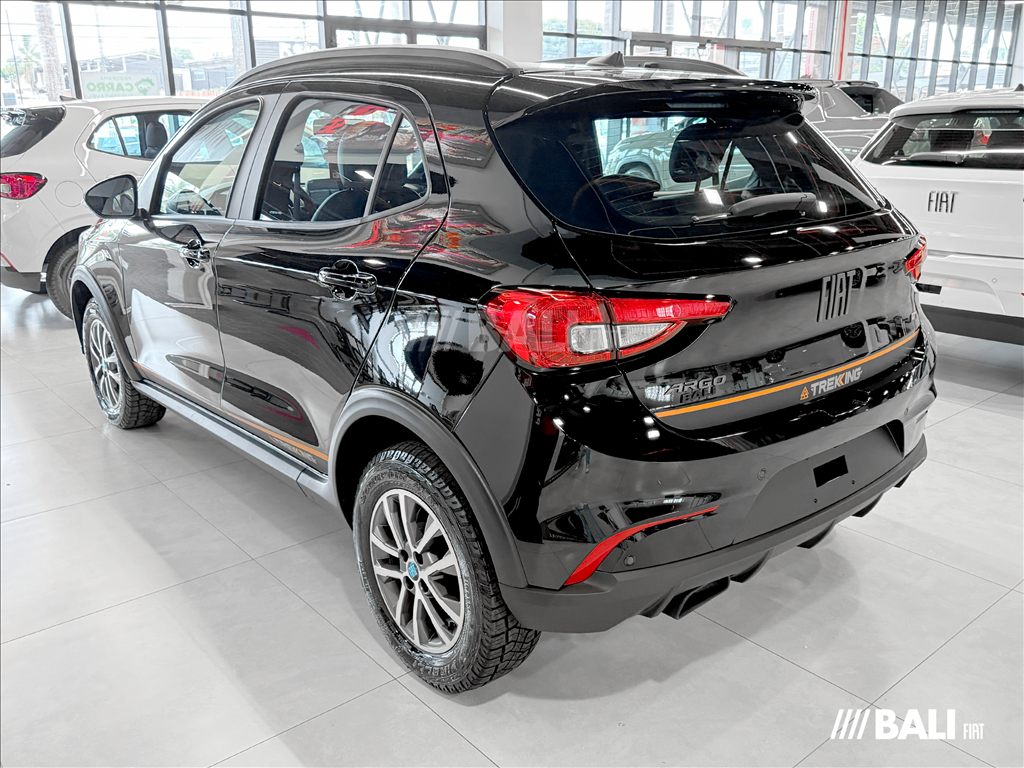 ARGO 1.3 FIREFLY FLEX TREKKING CVT4