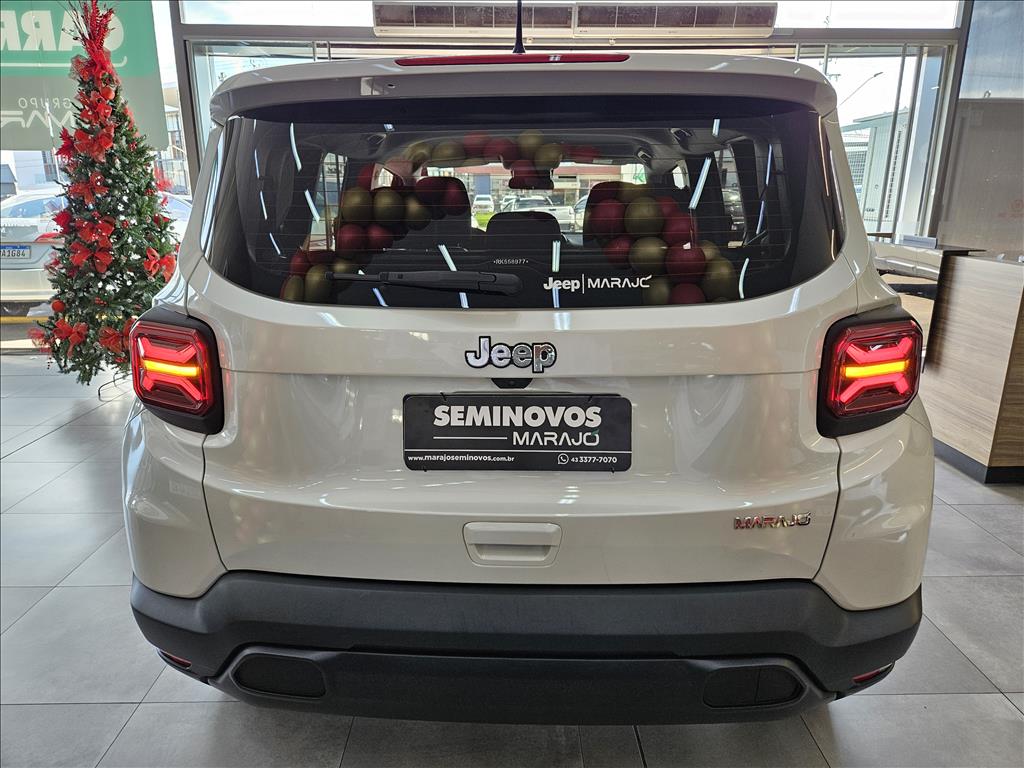 RENEGADE 1.3 T270 TURBO FLEX AT612