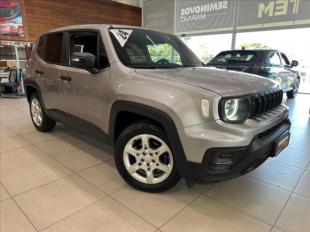 RENEGADE 1.3 T270 TURBO FLEX AT6