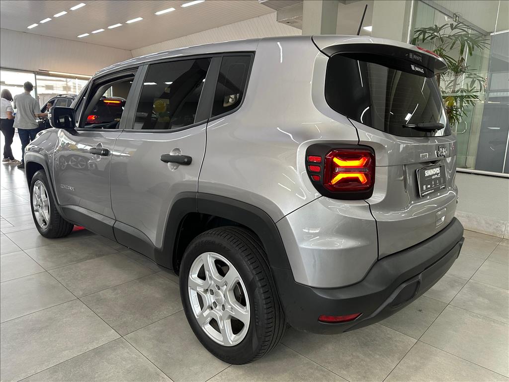 RENEGADE 1.3 T270 TURBO FLEX AT613