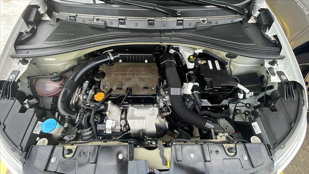 BASALT 1.0 FIREFLY FLEX FEEL MANUAL9