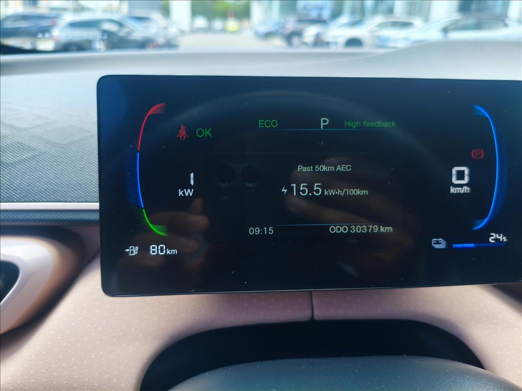 DOLPHIN MINI 38 KW ELÉTRICO15