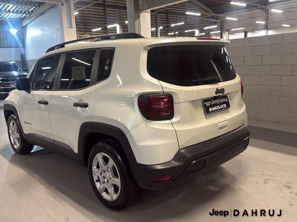 RENEGADE 1.3 T270 TURBO FLEX AT64