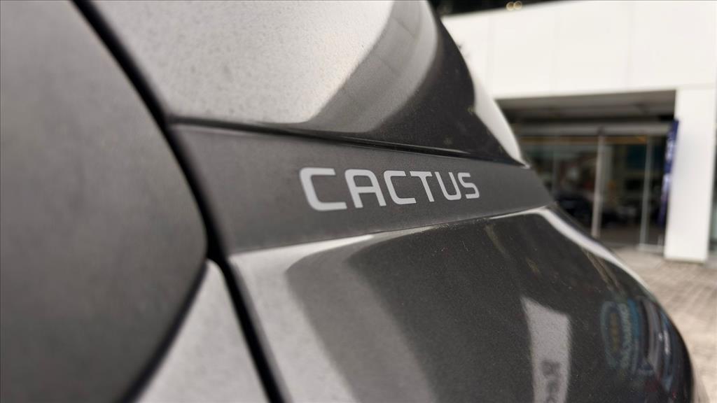 C4 CACTUS 1.6 THP FLEX SHINE EAT66