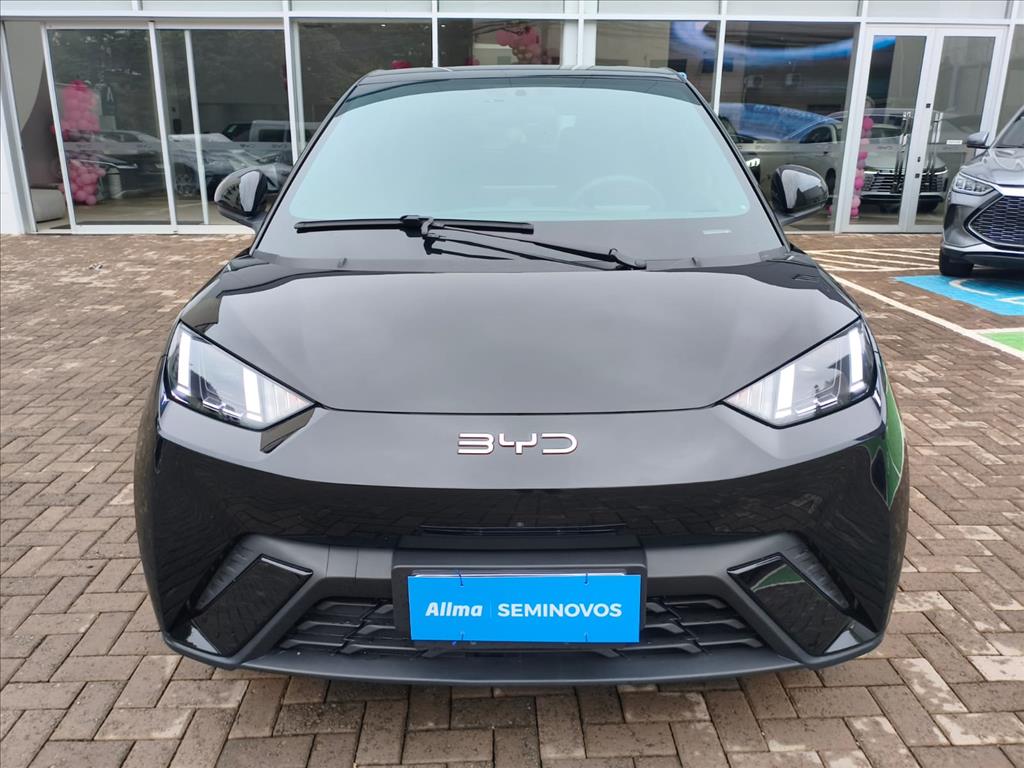 DOLPHIN MINI 38 KW ELÉTRICO1