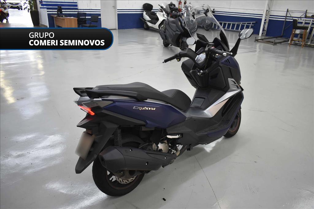 CRUISYM 300