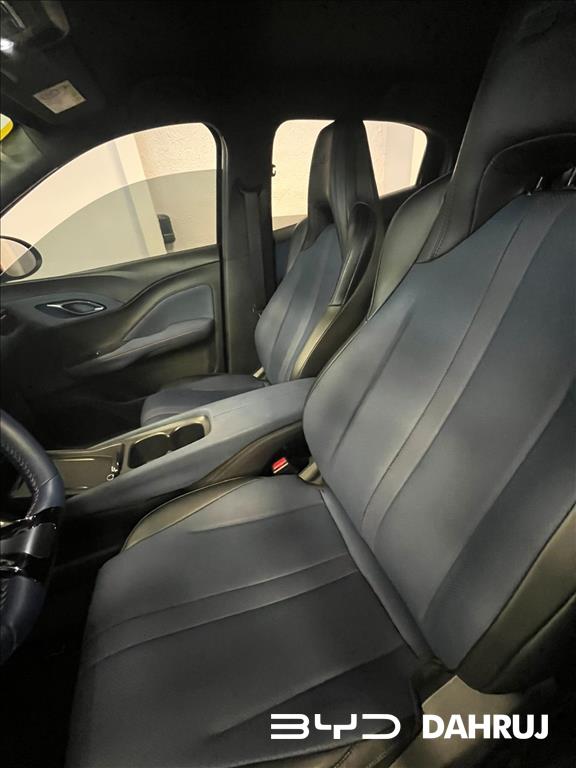 DOLPHIN MINI 38 KW ELÉTRICO8