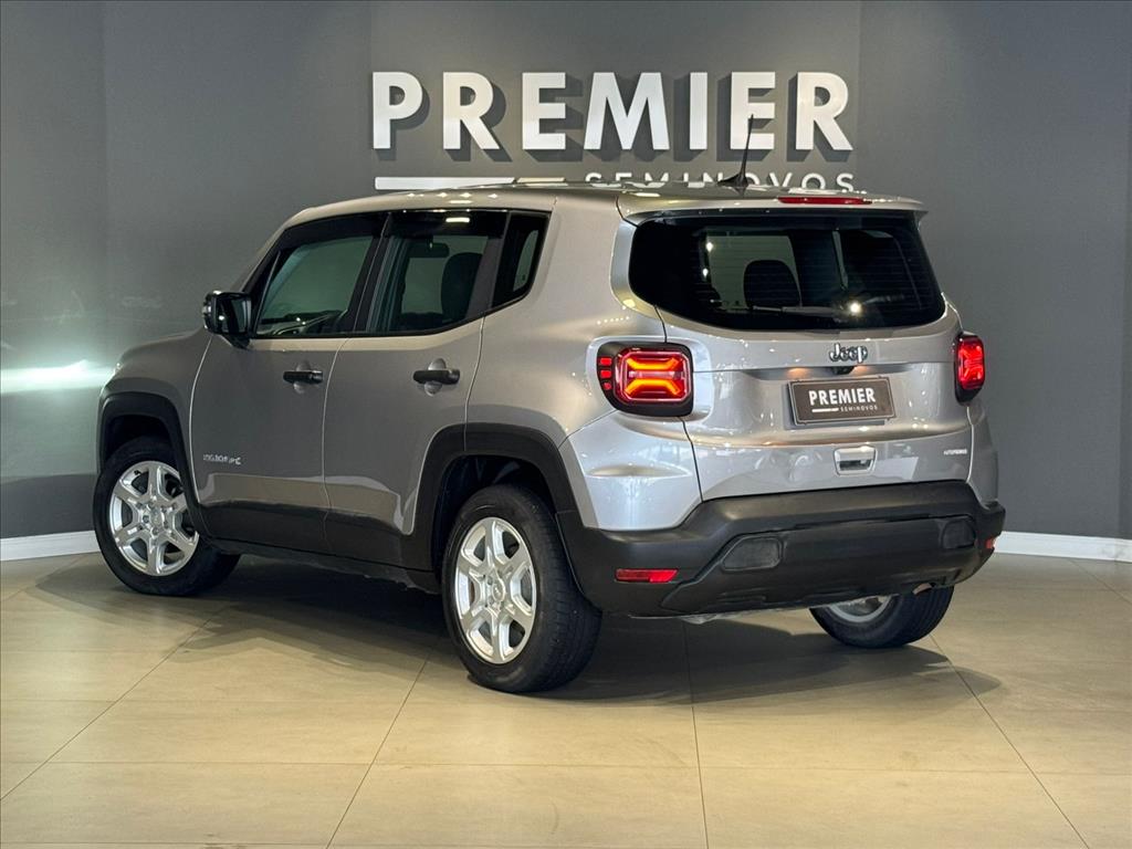 RENEGADE 1.3 T270 TURBO FLEX AT610