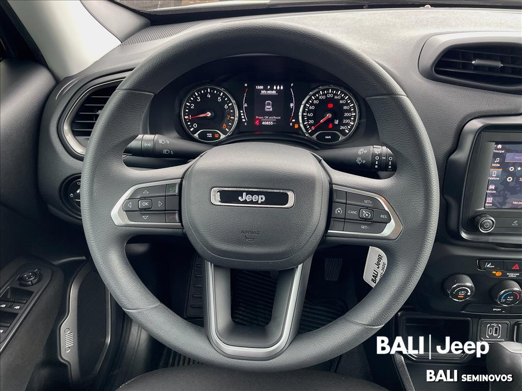 RENEGADE 1.3 T270 TURBO FLEX AT610