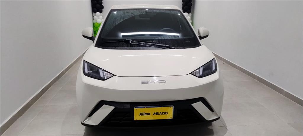 DOLPHIN MINI 38 KW ELÉTRICO4