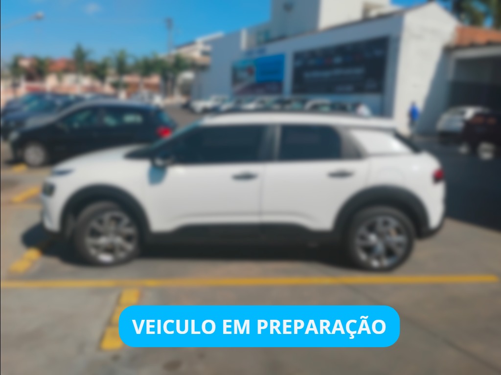 C4 CACTUS 1.6 VTI 120 FLEX FEEL EAT60