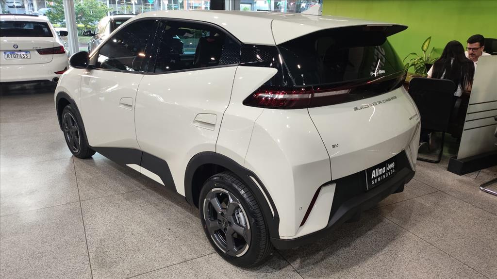 DOLPHIN MINI 38 KW ELÉTRICO5