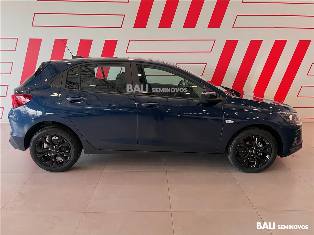 ONIX 1.0 FLEX MANUAL6