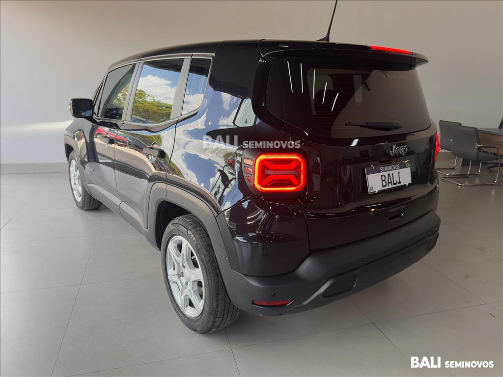 RENEGADE 1.3 T270 TURBO FLEX AT65