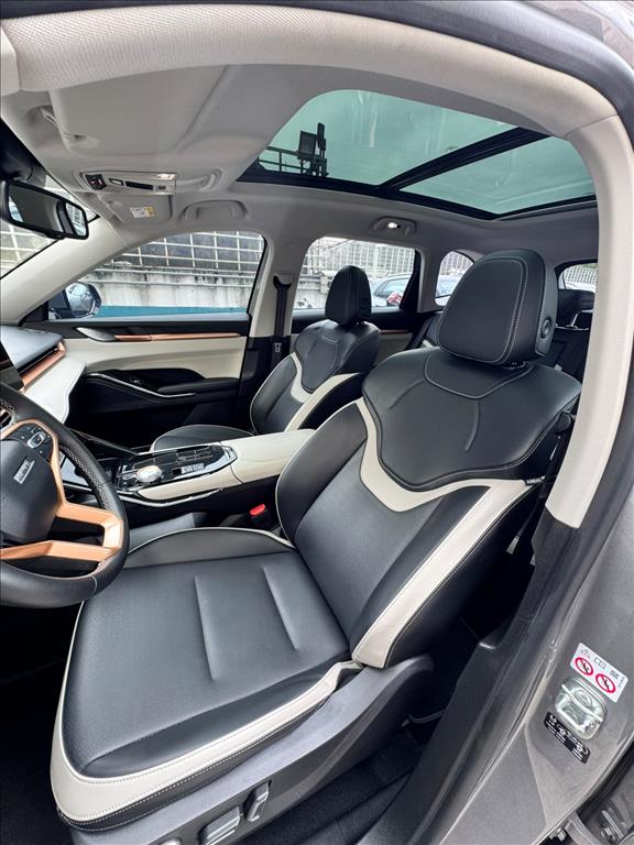 HAVAL H6 1.5 PHEV19 E-TRACTION9