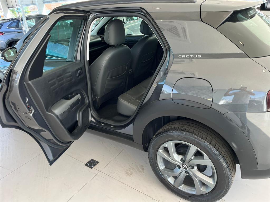 C4 CACTUS 1.6 VTI 120 FLEX FEEL EAT6