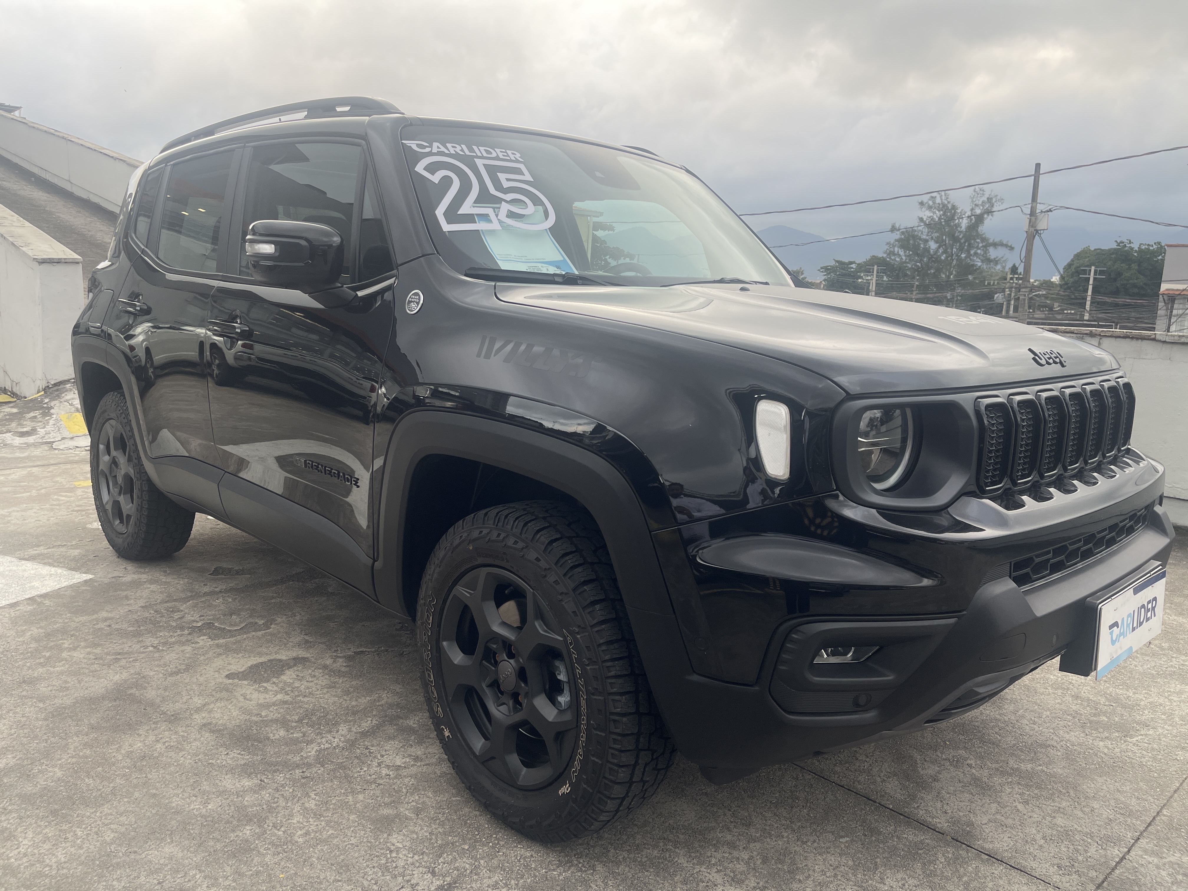 RENEGADE 1.3 T270 TURBO FLEX WILLYS 4X4 AT91