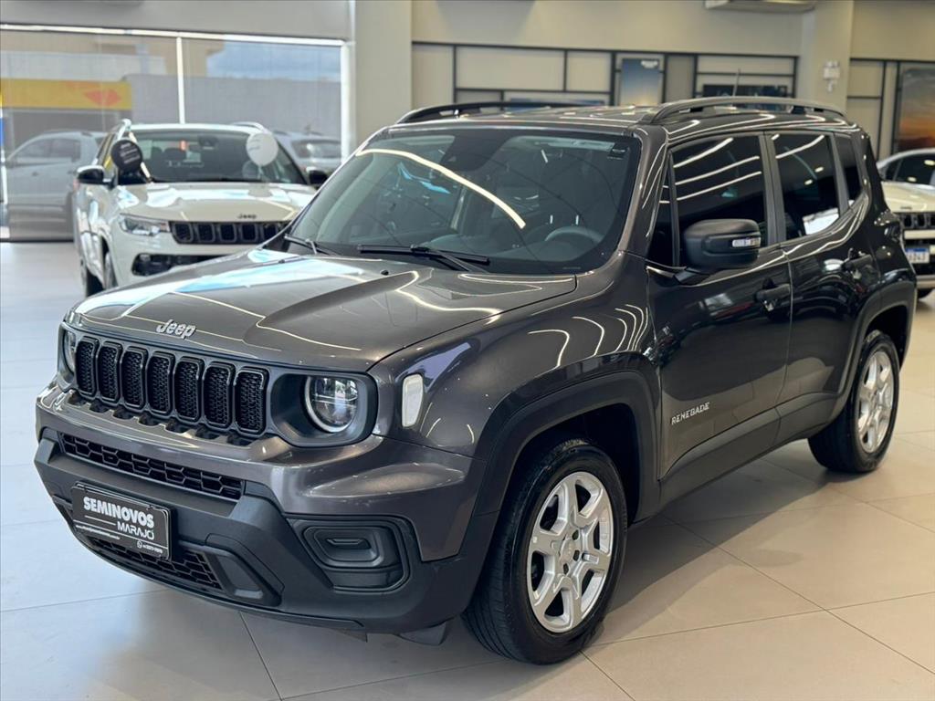 RENEGADE 1.3 T270 TURBO FLEX AT62