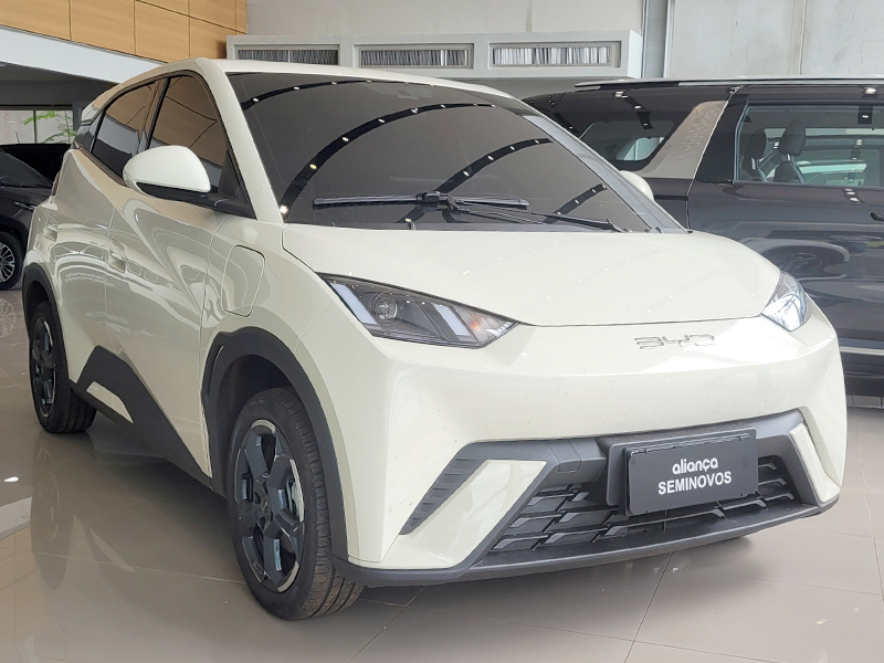 DOLPHIN MINI 38 KW ELÉTRICO2